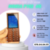 Nokiaa F102 4G